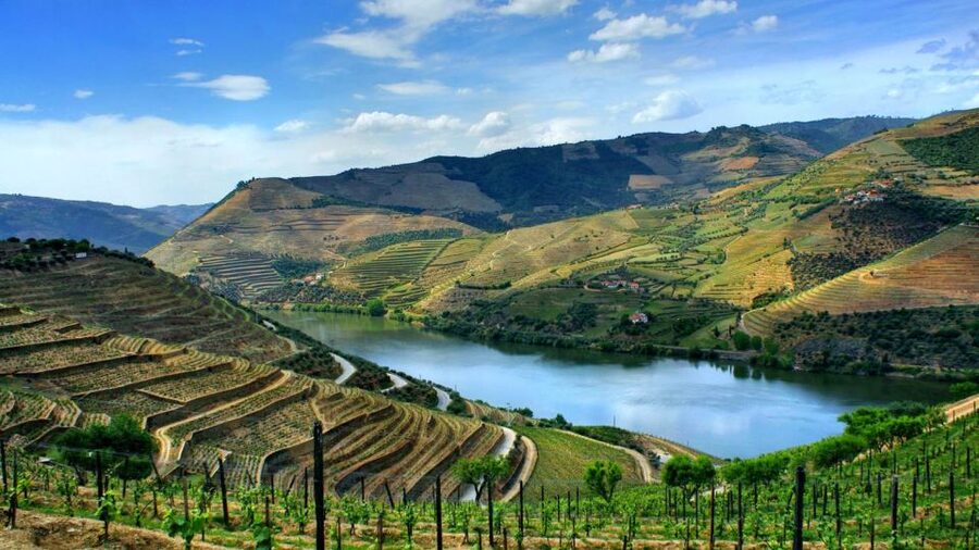 From Porto: Régua to Porto River Cruise with Lunch on Board - Régua and the UNESCO wine zone: where the view starts