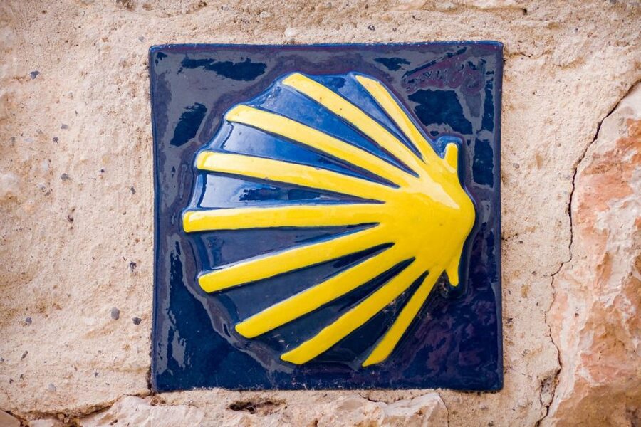 From Porto: Santiago de Compostela Cathedral Private Tour - Santiago’s UNESCO Old Town: Where the Day Turns From Holy to Human