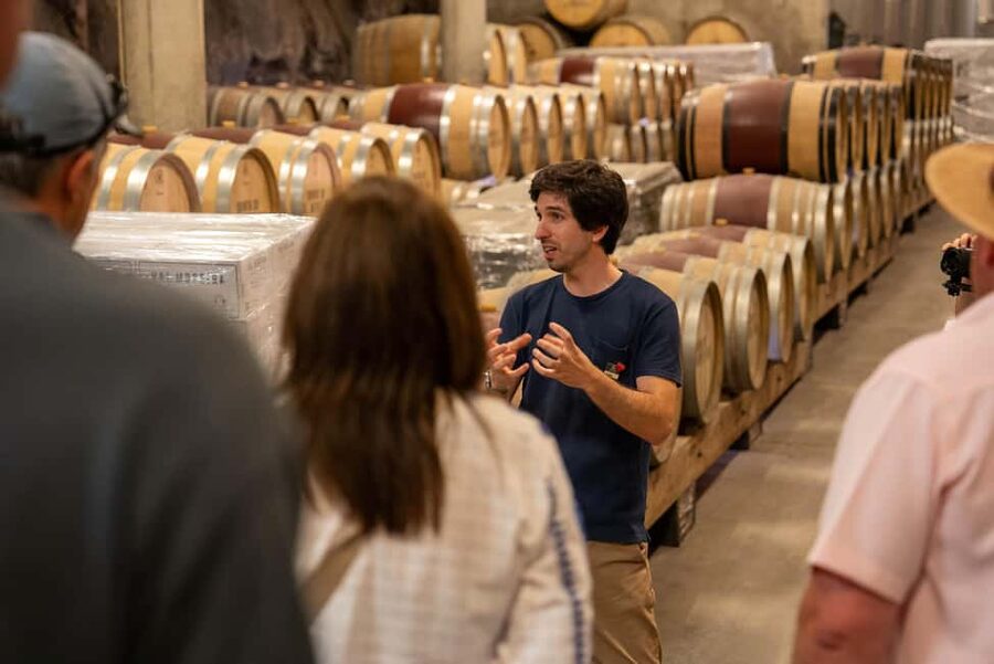 From Porto: Small Group Douro Valley Tour with Wine & Cruise - Lunch at the winery: 3 courses paired with Douro DOC wines