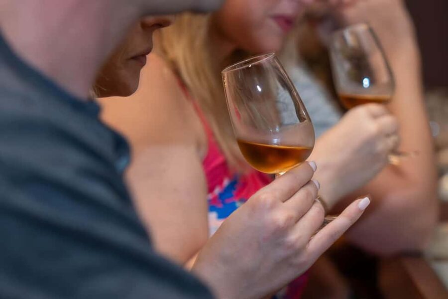 From Porto: Small Group Douro Valley Tour with Wine & Cruise - Second winery tasting: more wines, more clarity