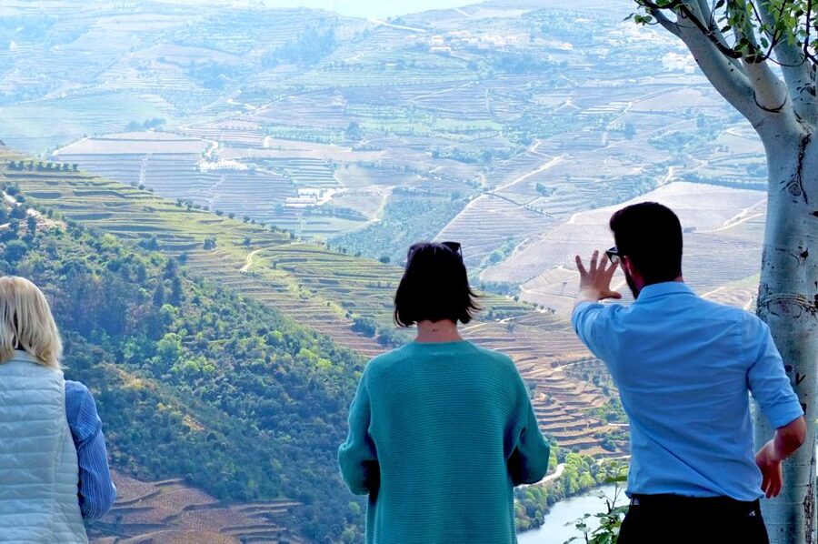 From Porto: Small-Group Douro Valley Wine Tour Lunch & Boat - Key Things I’d Focus On Before Booking