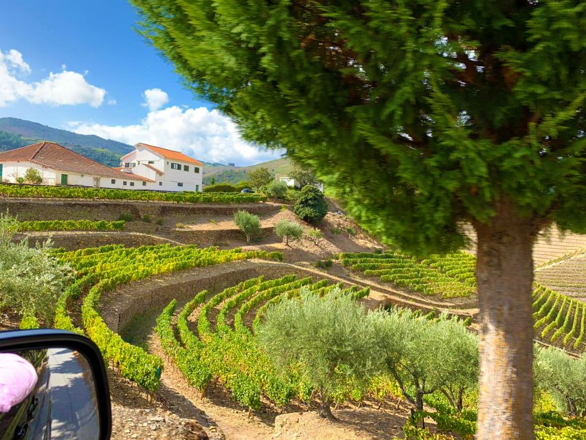 From Porto: Small-Group Douro Valley Wine Tour Lunch & Boat - Timing, Logistics, and What to Pack
