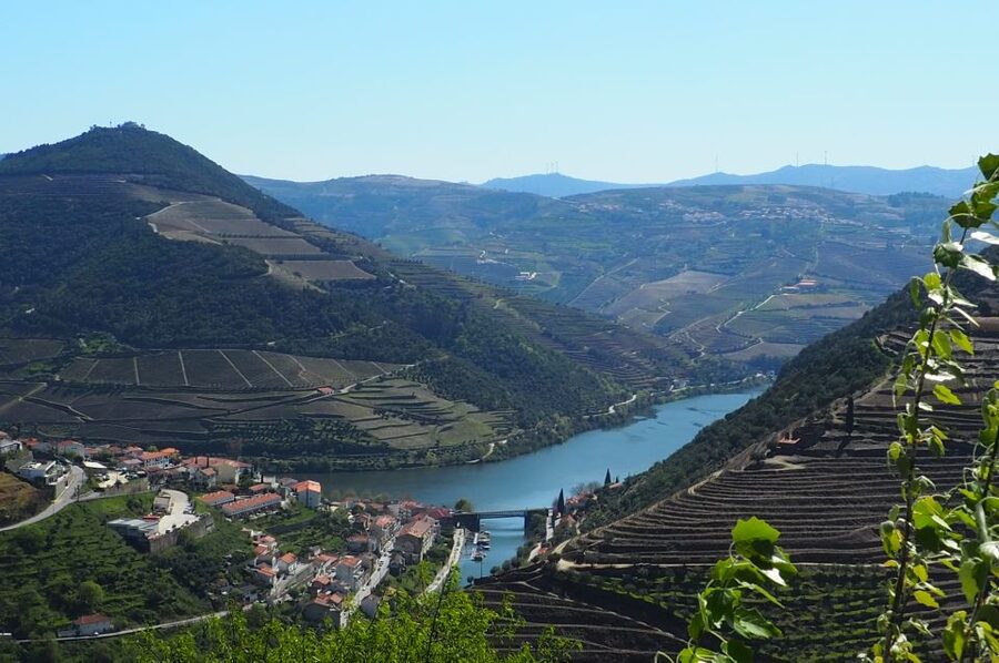 From Porto: Small-Group Douro Valley Wine Tour Lunch & Boat - The Private Douro Boat Cruise From Cais de Bagaúste