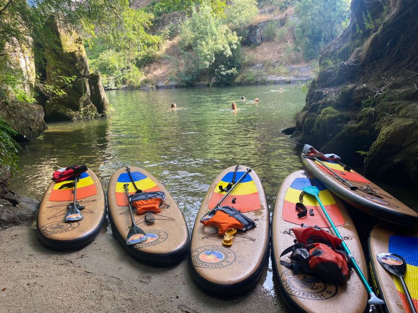 From Porto: SUP Paiva River Tour with Transfer - Key highlights at a glance