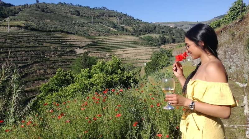 From Porto: Tastings at 2 Wineries, Chef's Lunch & Boat Tour - Pinhão Boat Cruise: The One-Hour Private Stretch That Changes the Mood