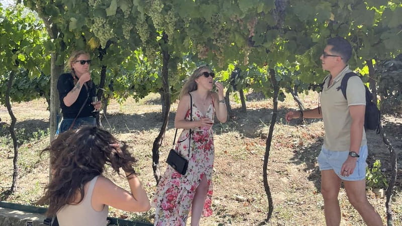 From Porto: Tastings at 2 Wineries, Chef's Lunch & Boat Tour - Service, Group Size, and the No-Pressure Feeling