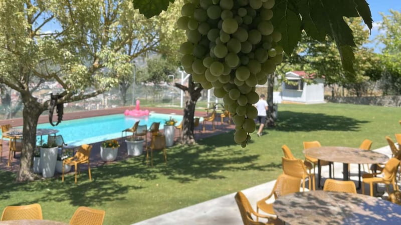 From Porto: Tastings at 2 Wineries, Chef's Lunch & Boat Tour - Value Check: Is $134 a Good Deal for All This?