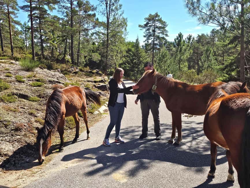 From Porto to Peneda-Gerês National Park - Getting out of Porto or Braga in an eco-friendly electric car