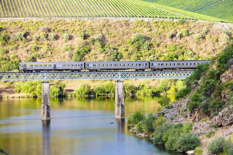 From Porto: Wine Tasting with Lunch at a Quinta, Cruise, and Train Ride - Quinta da Laceira lunch: family-run food you can count on