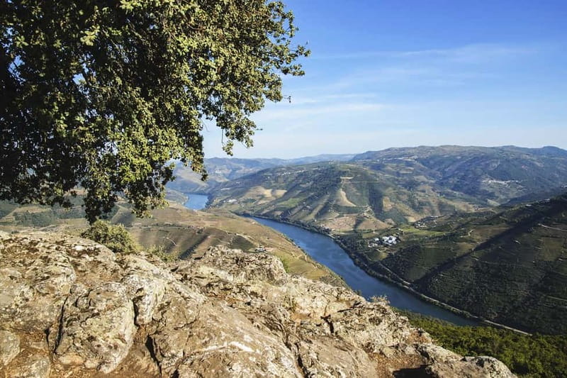 From Porto: Wine Tasting with Lunch at a Quinta, Cruise, and Train Ride - Who this tour fits best (and who might not love it)