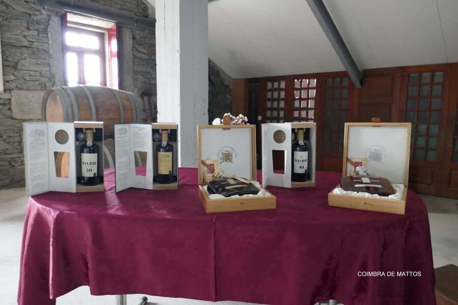 From Porto: Wine Tasting with Lunch at a Quinta, Cruise, and Train Ride - Century-old quinta wine tasting: where the explanations matter
