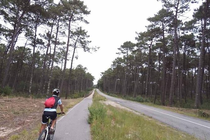 From Porto with view to Gaia: Private Bike Tour #DuckSideOfPorto - Included Drinks: A Soda Break That Keeps the Energy Up