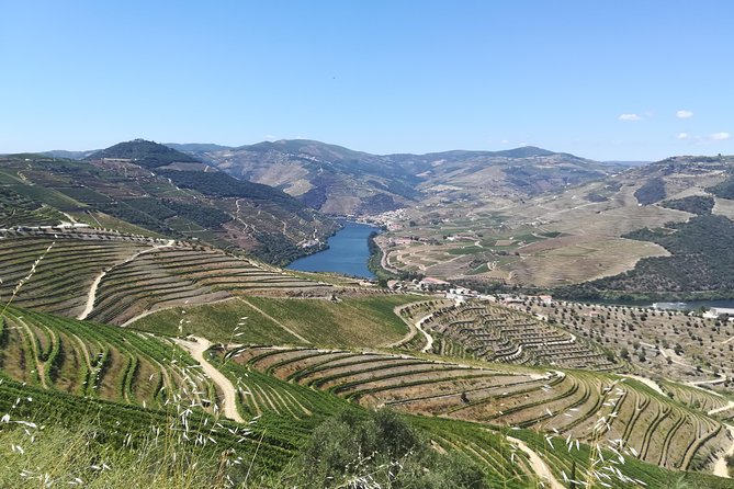 Full-Day Porto and Douro Valley Private Wine Tour with Lunch - Why this private Douro tour feels different from a basic wine trip