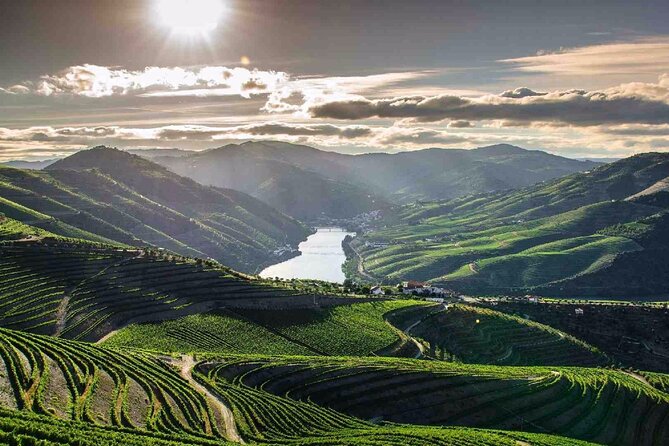Full day Tour to Douro Valley from Porto - Peso da Régua: Port wine capital energy with real sights