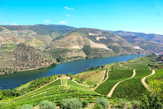 Genuine Douro Valley Tour: Visit 2 Wineries, Lunch & River Cruise - The morning logistics: start early, stay comfortable