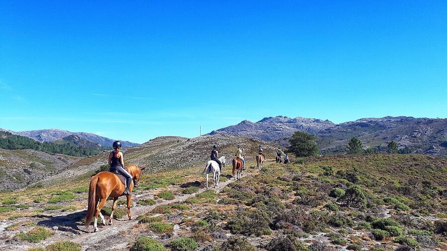 Gerês Braga: Horseback Ride in Peneda Gerês National Park - Key Highlights You’ll Feel Right Away