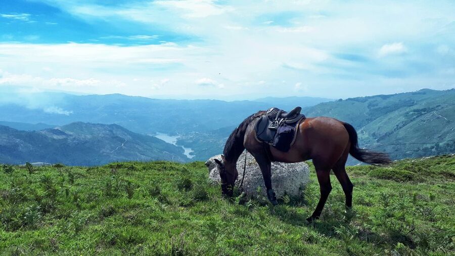 Gerês Braga: Horseback Ride in Peneda Gerês National Park - Peneda-Gerês on Horseback: What the 2 Hours Actually Gives You