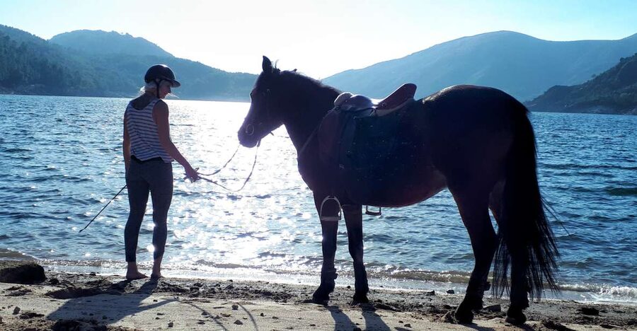 Gerês Braga: Horseback Ride in Peneda Gerês National Park - The Ride Out of Campo de Gerês: Where “Nature” Gets Specific