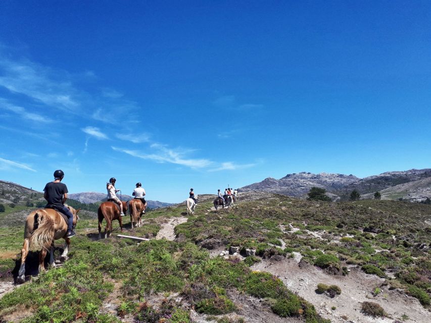 Gerês Braga: Horseback Ride in Peneda Gerês National Park - Riding Reality Check: What You Need to Feel Comfortable