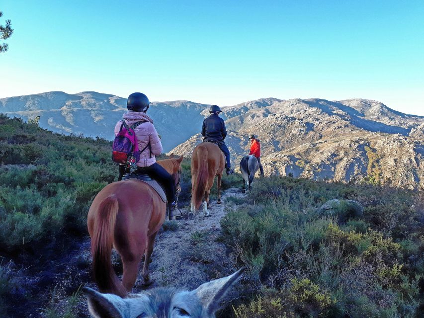 Gerês Braga: Horseback Ride in Peneda Gerês National Park - Starting at Campo do Gerês: Meet the Horses and Get Oriented Fast