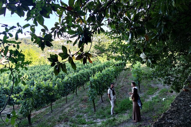 Guimarães & Braga Port Private Tour with Lunch and Green Wine - Castelo de Guimarães: Views Worth the Climb (Ticket Sold Separately)