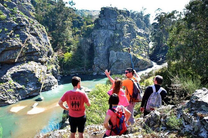 Half-day Hike & Picnic with Dog Love in Porto's Mountains - Key highlights worth showing up for