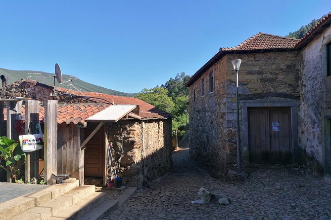 Half-day Hike & Picnic with Dog Love in Porto's Mountains - What the hike feels like: river sounds, village edges, and quiet moments