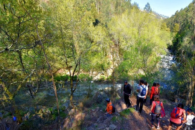 Half-day Hike & Picnic with Dog Love in Porto's Mountains - What you’re paying for: value in transit + guide + picnic