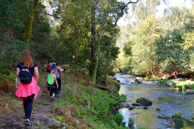 Half-day Hike & Picnic with Dog Love in Porto's Mountains - Trail time: moderate hiking with rocky bits you can manage