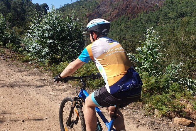 Half day Mountain Bike Tour in Porto - Getting There the Easy Way: 8:00 Pickup and a 20-Min Van Transfer