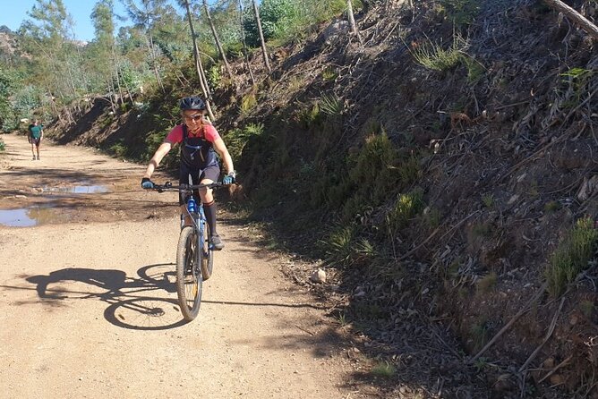 Half day Mountain Bike Tour in Porto - Guides Matter: Telmo, Filipie, and João’s Safety-First Approach