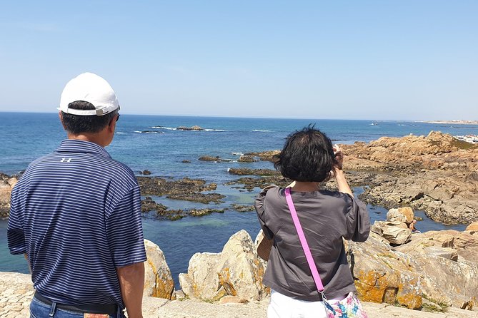 Half Day Porto & Beach Side Small-Group Tour- Different Tastings - Torre dos Clérigos and the choice point for your photos