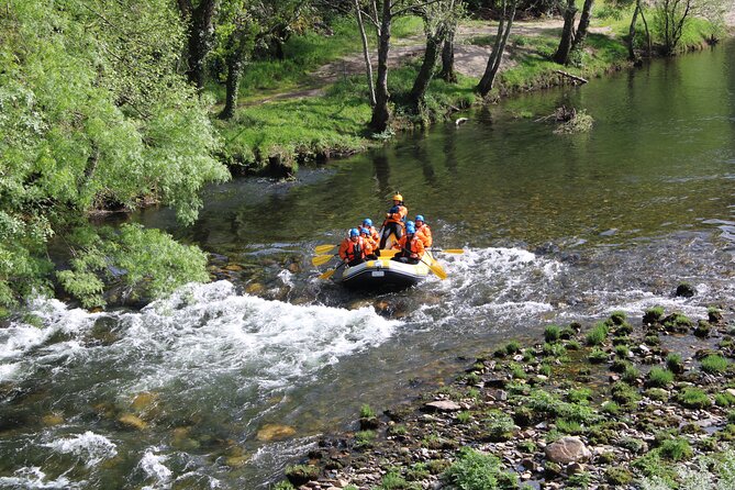 Half-Day Rafting on the Paiva River in Arouca - Price and Value: Why $81.11 Feels Reasonable Here