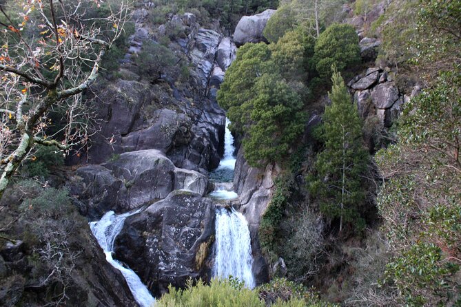Hidden Gems of Peneda-Gerês National Park on a Full-Day Tour - Leaving Porto for Peneda-Gerês: the point of this full-day escape
