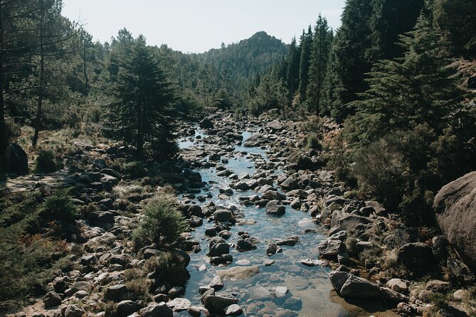 Hidden Gems of Peneda-Gerês National Park on a Full-Day Tour - Entering Peneda-Gerês National Park: the hike start and the first big sights