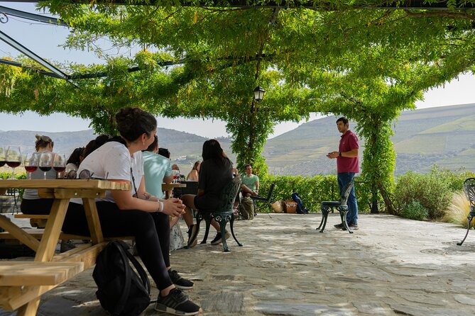 HIKING in the Douro Valley - Price and value: what $90.31 gets you (and what it doesn’t)