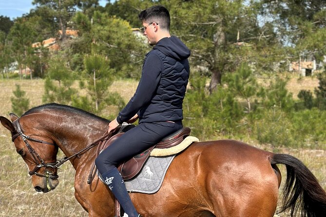 Horse Riding in the Countryside - Key highlights worth your attention