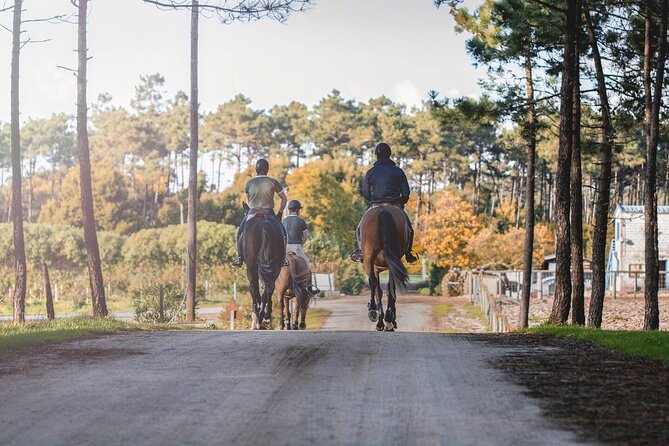 Horse Riding in the Countryside - 6 km Through Rural Porto: How the Ride Works for First-Timers