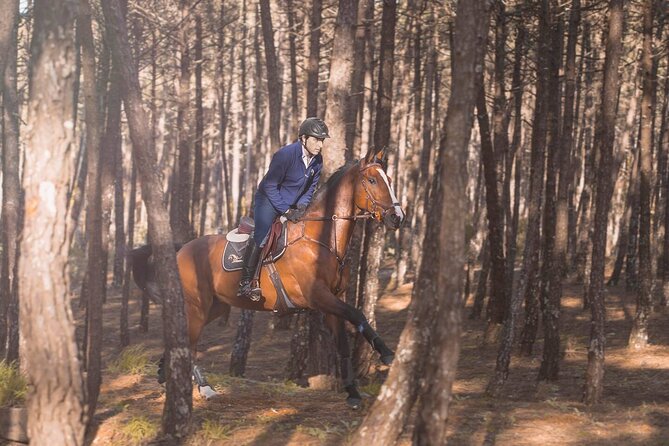 Horse Riding in the Countryside - Should you book this countryside horse ride near Porto?