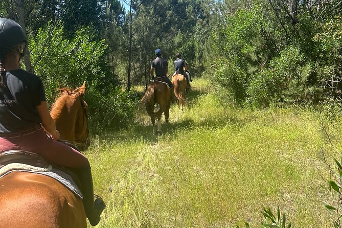 Horse Riding in the Countryside - Meet at Rua Engenheiro Vasco Leonidas: Getting There and Back
