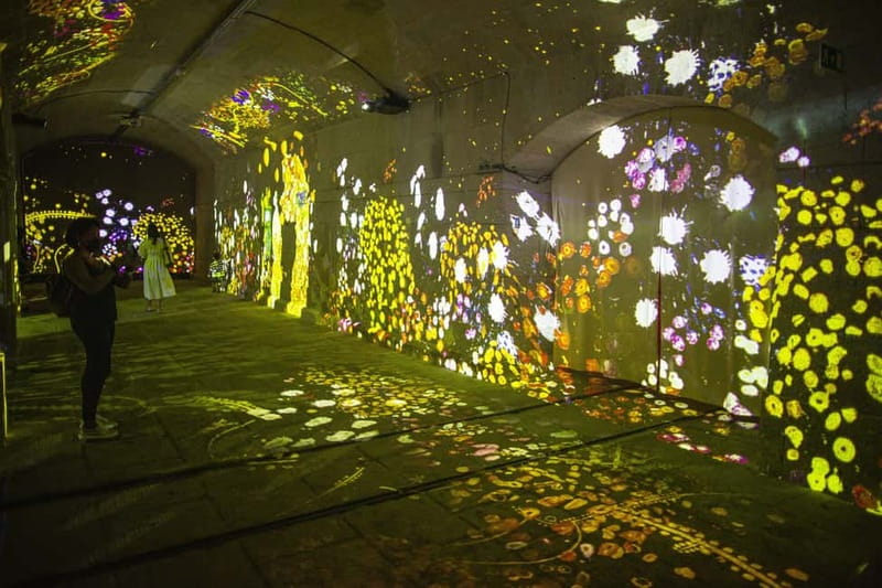 Impressive Monet & Brilliant Klimt -The Immersive Experience - How the room works: seats, walking routes, and finding your best angle