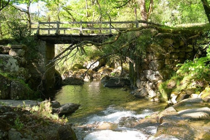 Kayak Experience & Gerês Tour, from Porto - Pincães Waterfall and natural pool: your ~3 km payoff