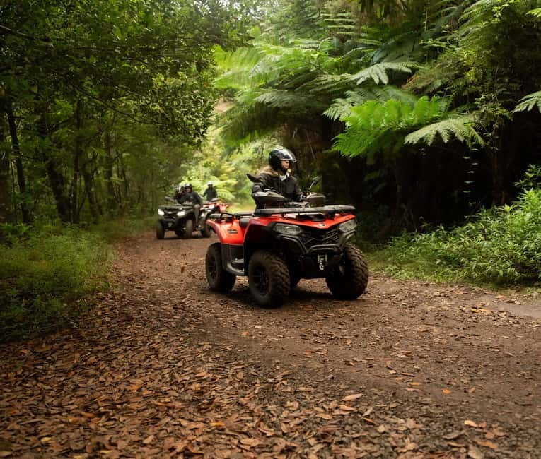 Madeira: Aventura Off-Road de ATV ou Quad - Adrenalina - Guides Who Actually Teach: Bruno, Arthur, Artur, Mario, Ricardo