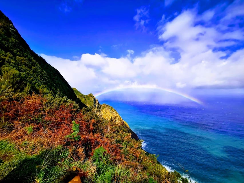 Madeira E-Buggy Adventure: 4x4 thrill & epic views! Book now - What You’re Driving: an Electric 4x4 That Feels Built for Madeira