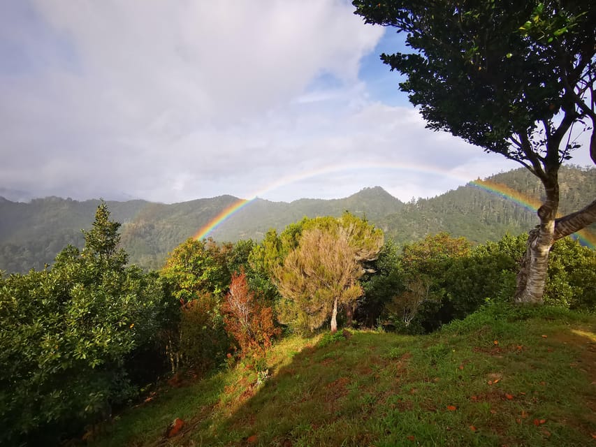 Madeira E-Buggy Adventure: 4x4 thrill & epic views! Book now - FAQ