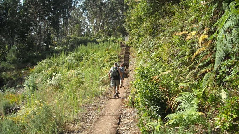 Madeira: Levada Referta – Castelejo Guided Walk - Levada Referta–Castelejo: the walk you do for stories and views