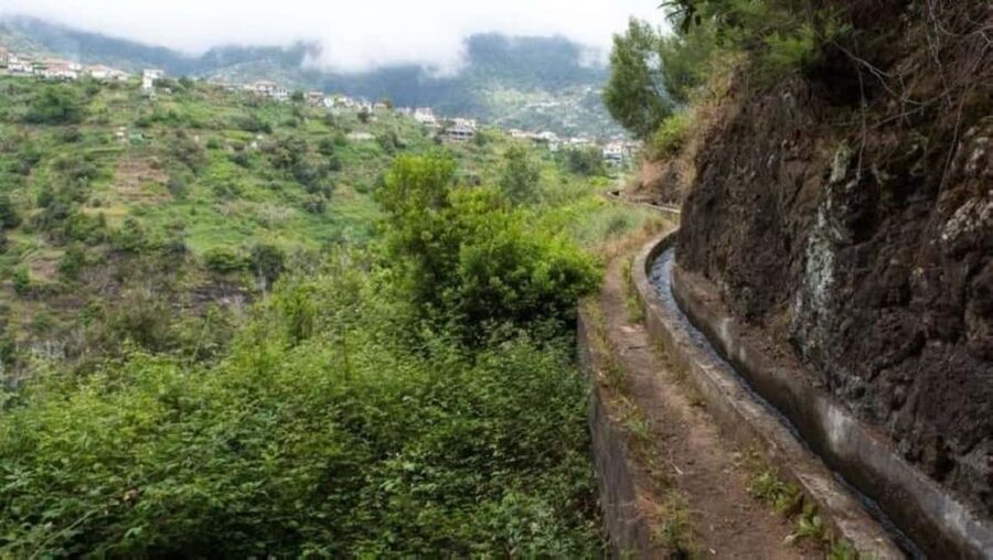 Madeira: Levada Referta – Castelejo Guided Walk - What you’ll actually see on the Levada route