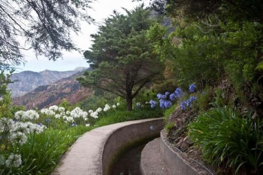 Madeira: Levada Referta – Castelejo Guided Walk - The guide’s role: why the stories change the hike