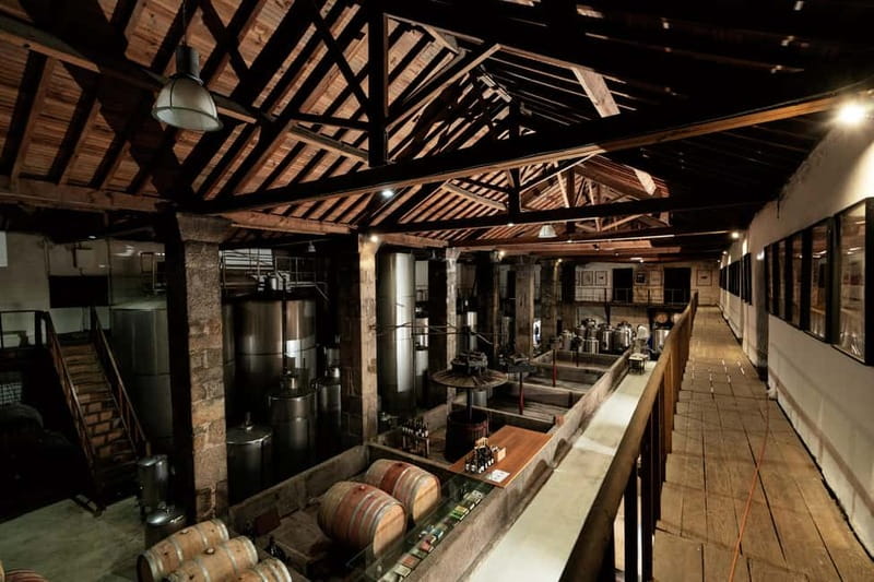 Mateus Palace - In the Footsteps of Wine History - Key moments that make this tour worth it