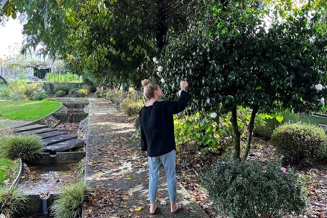 Meditation Experience at a Lovely Farm in Porto - Who Guides You: Nuno’s Meditation + Ines’s Meditative Movement